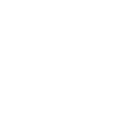BirdieAi